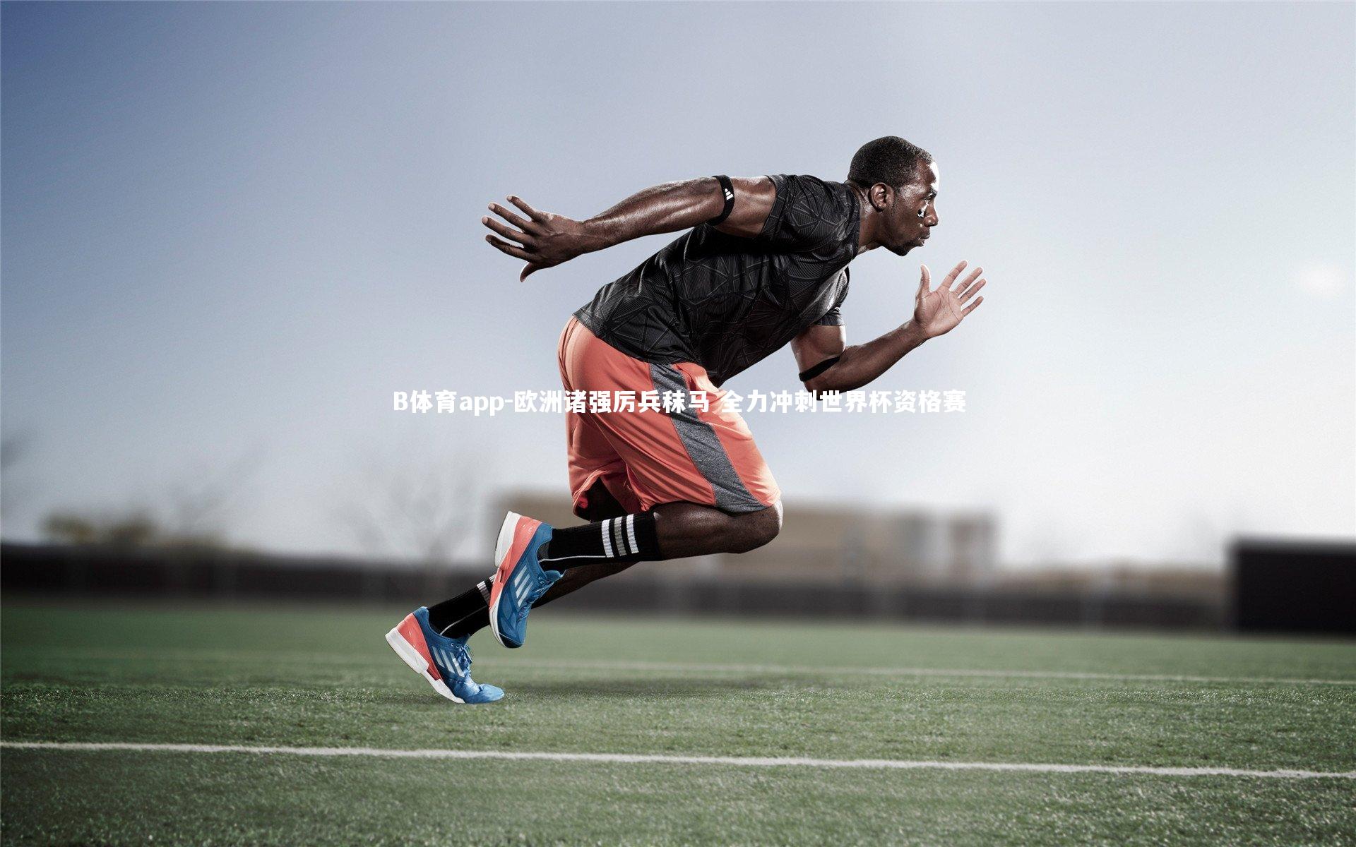 欧洲诸强厉兵秣马 全力冲刺世界杯资格赛